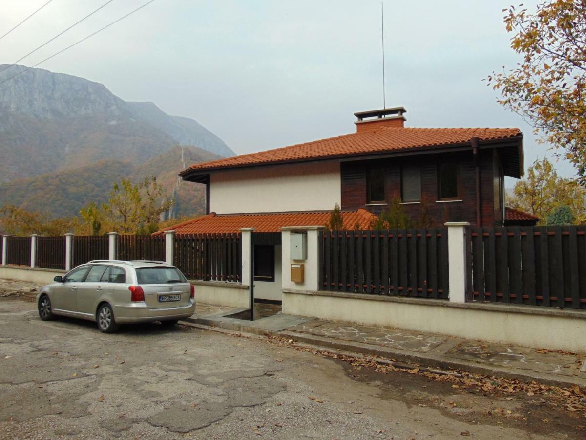 Къща За Гости "Мечта" Lyutibrod Exterior photo